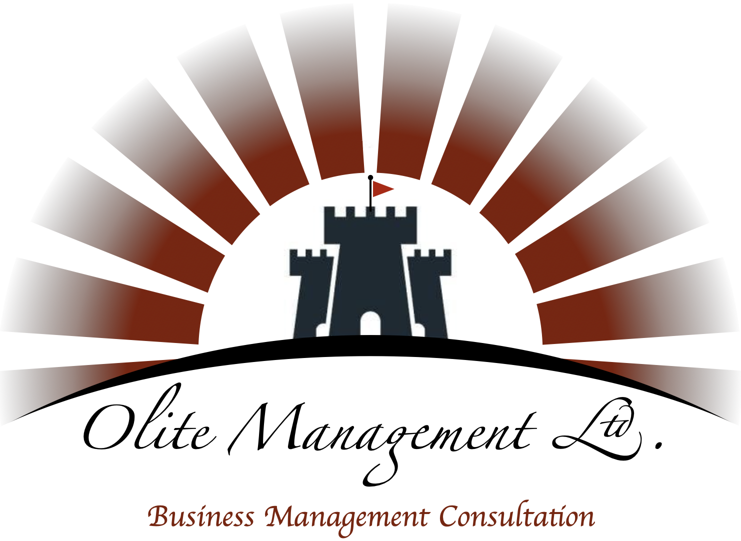 OLITE MANAGEMENT LTD.